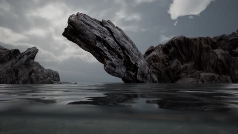 Half-underwater-in-northern-sea-with-rocks